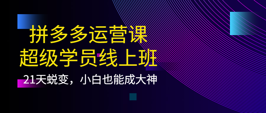 拼多多运营课:超级学员线上班,21天蜕变,小白也能成大神-一起发