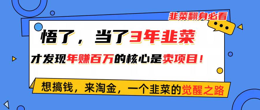 悟了,当了3年韭菜,才发现网赚圈年赚100万的核心是卖项目,含泪分享!-一起发