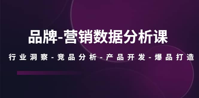 品牌-营销数据分析课,行业洞察-竞品分析-产品开发-爆品打造-一起发