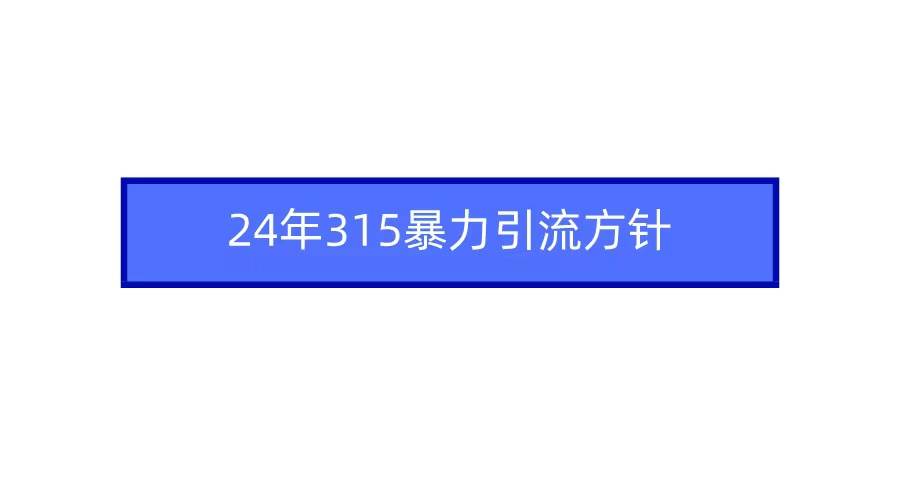 2024年315暴力引流方针-一起发