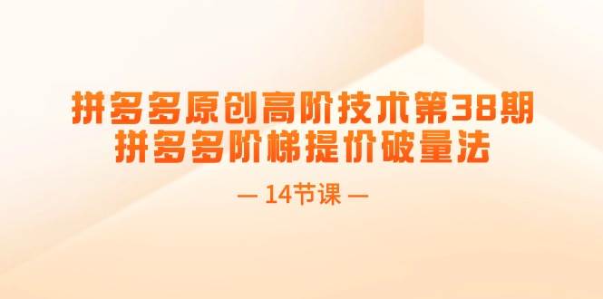 拼多多原创高阶技术第38期，拼多多阶梯提价破量法（14节课）-一起发