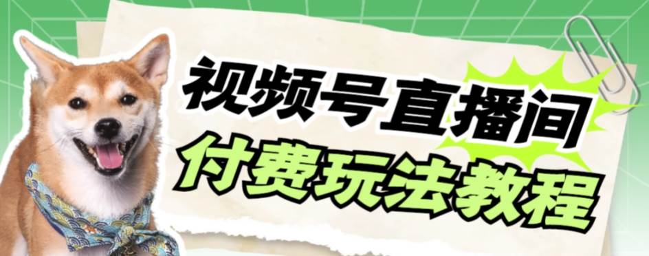 视频号美女付费无人直播，轻松日入500+【详细玩-一起发