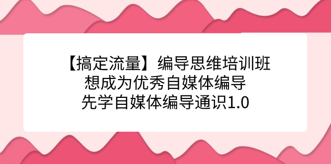 【搞定流量】编导思维培训班，想成为优秀自媒体编导先学自媒体编导通识1.0-一起发