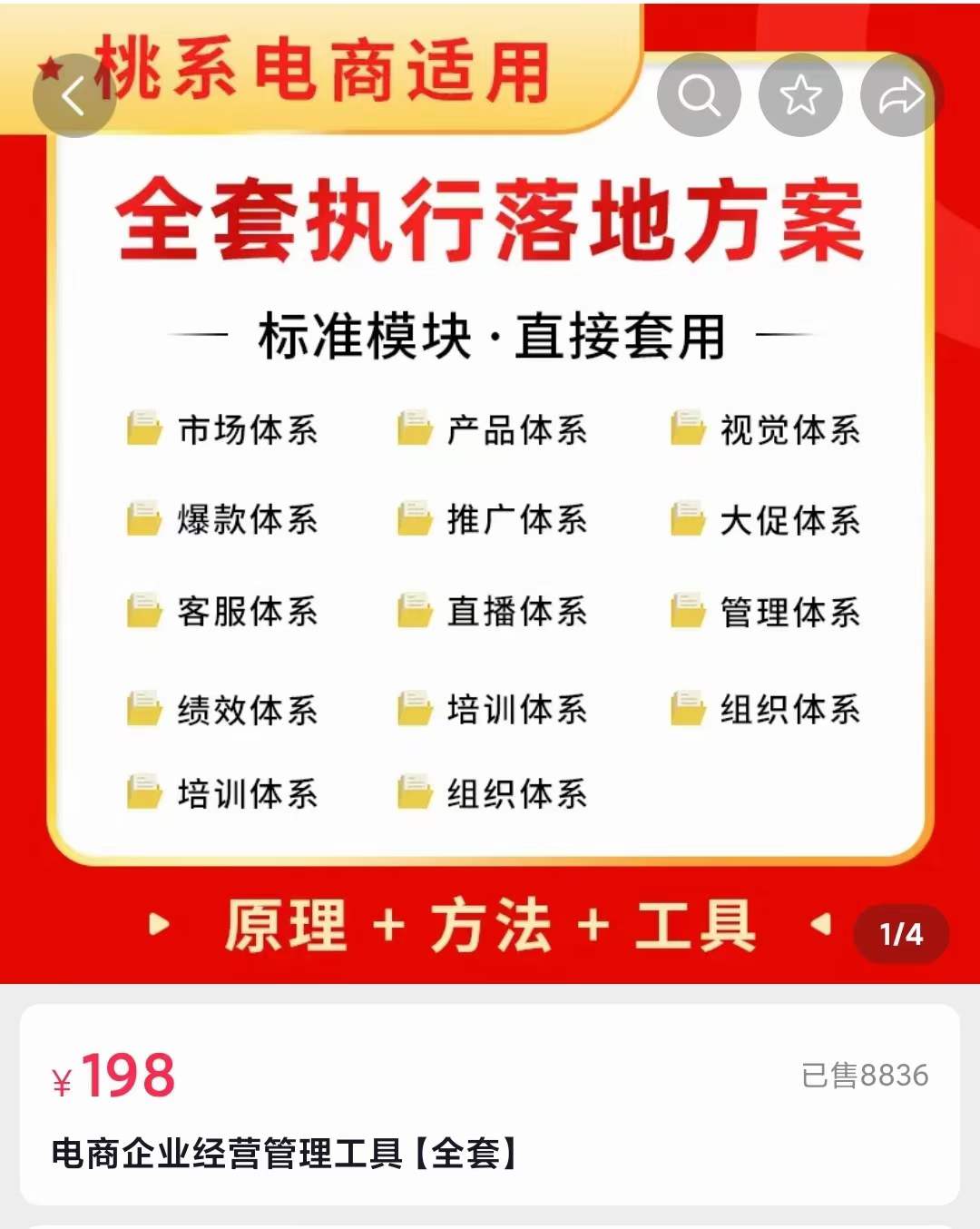 外面卖198·电商企业经营管理工具:全套执行落地方案 标准模块·直接套用-一起发
