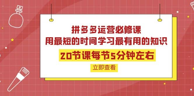 拼多多运营必修课：20节课每节5分钟左右，用最短的时间学习最有用的知识-一起发