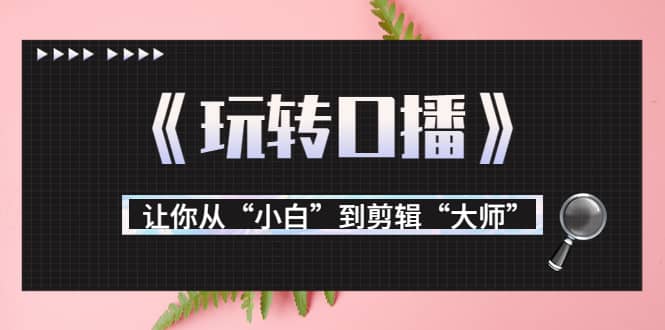月营业额700万+大佬教您《玩转口播》让你从“小白”到剪辑“大师”-一起发