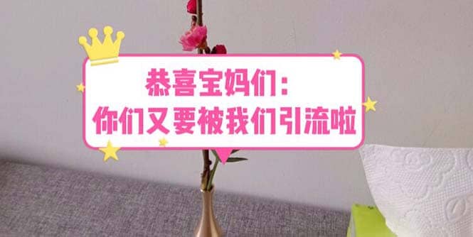 恭喜宝妈们：你们又要被我们引流了（教程+222g资料）-一起发