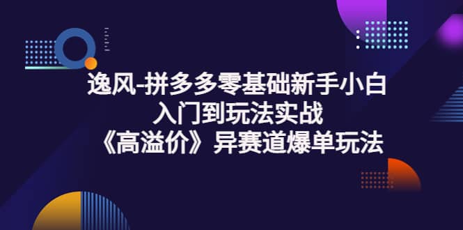 拼多多零基础新手小白入门到玩法实战《高溢价》异赛道爆单玩法实操课-一起发