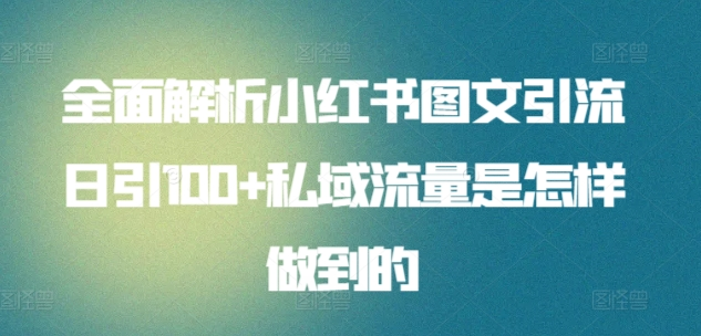 全面解析小红书图文引流日引100私域流量是怎样做到的-一起发