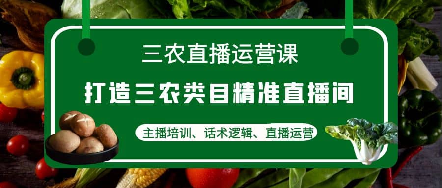 三农直播运营课:打造三农类目精准直播间,主播培训、话术逻辑、直播运营-一起发