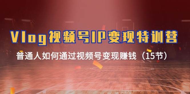 Vlog 视频号IP变现特训营，普通人如何通过视频号变现赚钱（15节）-一起发