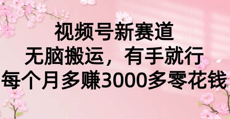 视频号新赛道,无脑搬运,有手就行,每个月多赚3000多零花钱-一起发