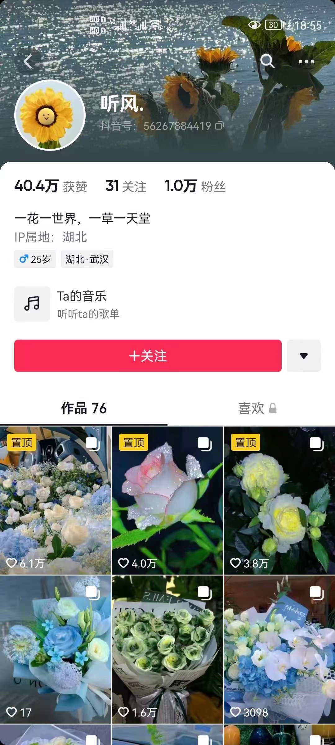 图片[2]-抖音壁纸变现项目：实战日入380+发布壁纸素材获取收益！-一起发