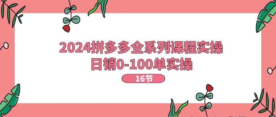 2024拼多多全系列课程实操,日销0-100单实操【16节课】-一起发
