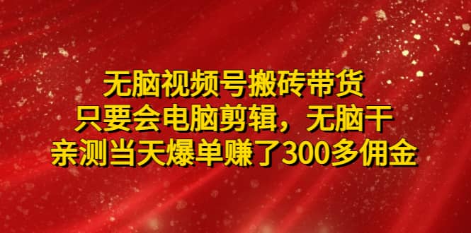 无脑视频号搬砖带货，只要会电脑剪辑，无脑干-一起发