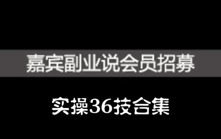 嘉宾副业说实操36技合集，价值1380元-一起发