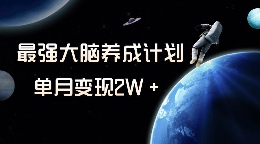 冷门虚拟项目,最强大脑养成计划,一个月变现2W+-一起发