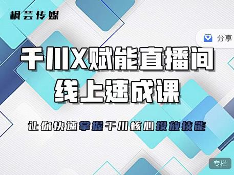 枫芸传媒-线上千川提升课,提升千川认知,提升千川投放效果-一起发
