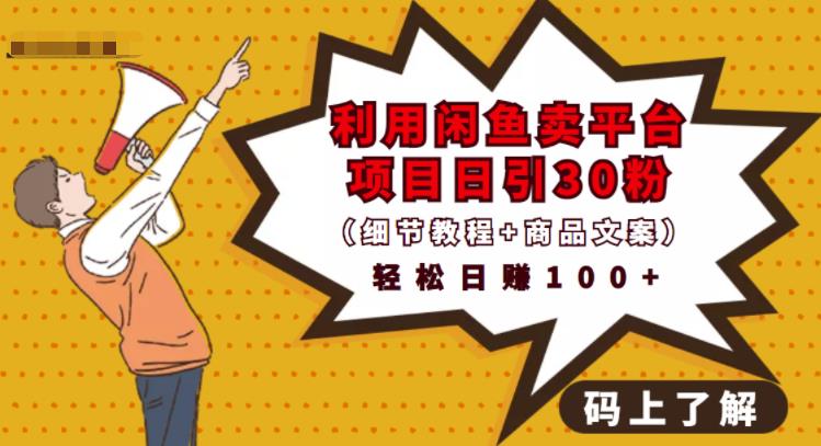 利用闲鱼卖平台项目课程资源日引流30+精准粉丝，轻松日赚100+，积累人脉可实现二次变现（细节教程+商品文案）-一起发