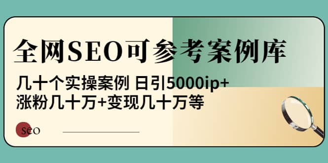 《全网SEO可参考案例库》几十个实操案例-一起发