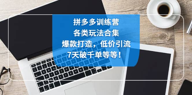 拼多多训练营:各玩法合集,爆款打造,低价引流,7天破千单等等-一起发