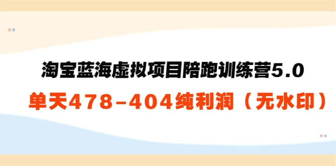 淘宝蓝海虚拟项目陪跑训练营5.0：单天478纯利润（无水印）-一起发