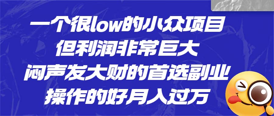 一个很low的小众项目，但利润非常巨大，闷声发大财的首选副业，月入过万-一起发