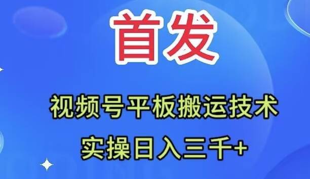 全网首发：视频号平板搬运技术，实操日入三千＋-一起发