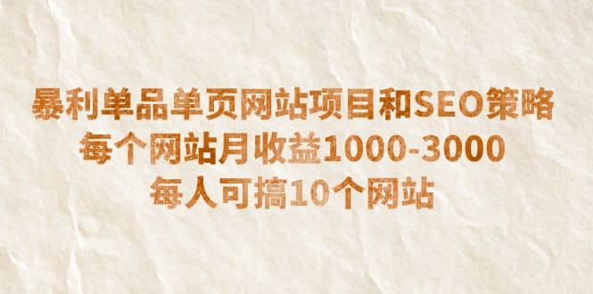 暴利单品单页网站项目和SEO策略 每个网站月收益1000-3000 每人可搞10个-一起发