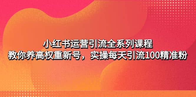 小红书运营引流全系列课程：教你养高权重新号-一起发