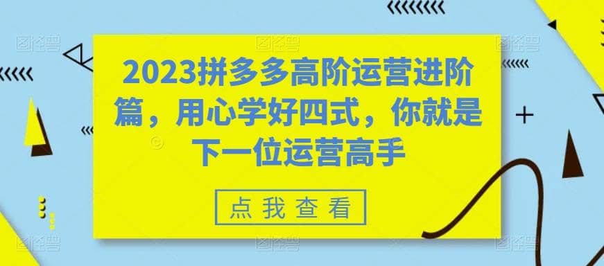 2023拼多多高阶运营进阶篇，用心学好四式，你就是下一位运营高手-一起发