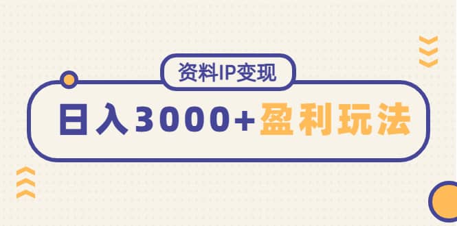 资料IP变现，持续性盈利玩法-一起发