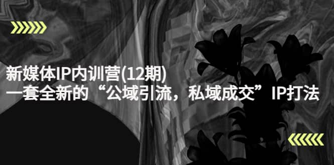 新媒体IP内训营(12期),一套全新的“公域引流,私域成交”IP打法,直接带走-一起发