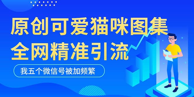 黑科技纯原创可爱猫咪图片，全网精准引流，实操5个VX号被加频繁-一起发
