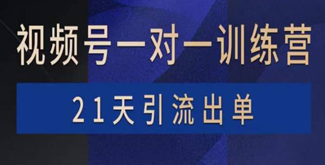 视频号训练营:带货,涨粉,直播,游戏,四大变现新方向,21天引流出单-一起发