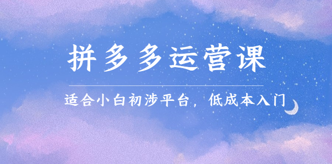 拼多多运营课,适合小白初涉平台,低成本入门-一起发