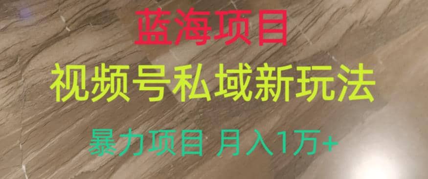 蓝海项目,视频号私域新玩法,暴力项目月入1万+【揭秘】-一起发