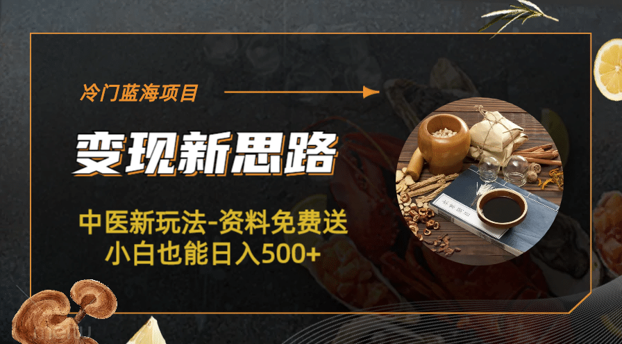 冷门蓝海项目-中医新玩法-冷门蓝海项目-中医新玩法-资料免费送小白也能日入500+500+-一起发