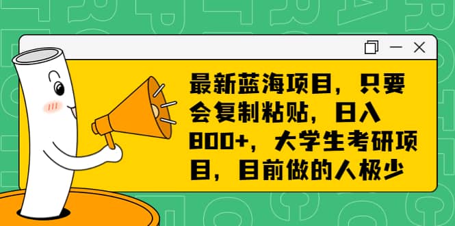 最新蓝海项目，只要会复制粘贴，日入800+，大学生考研项目，目前做的人极少-一起发