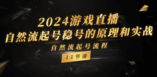 2024游戏直播-自然流起号稳号的原理和实战，自然流起号流程（11节）-一起发