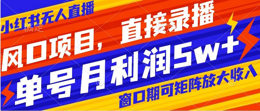 风口项目,小红书无人直播带货,直接录播,可矩阵,月入5w+-一起发