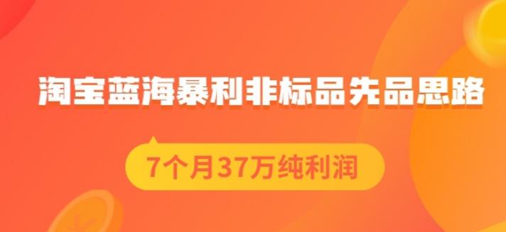 盗坤淘宝蓝海暴利非标品先品思路，7个月37万纯利润，压箱干货分享！【付费文章】-一起发