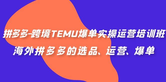 拼多多-跨境TEMU爆单实操运营培训班，海外拼多多的选品、运营、爆单-一起发