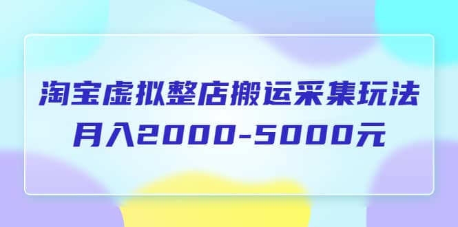 淘宝虚拟整店搬运采集玩法分享课：月入2000-5000元（5节课）-一起发