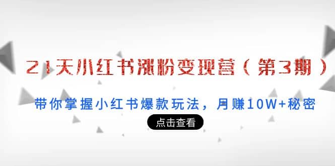 21天小红书涨粉变现营(第3期):带你掌握小红书爆款玩法,月赚10W+秘密-一起发