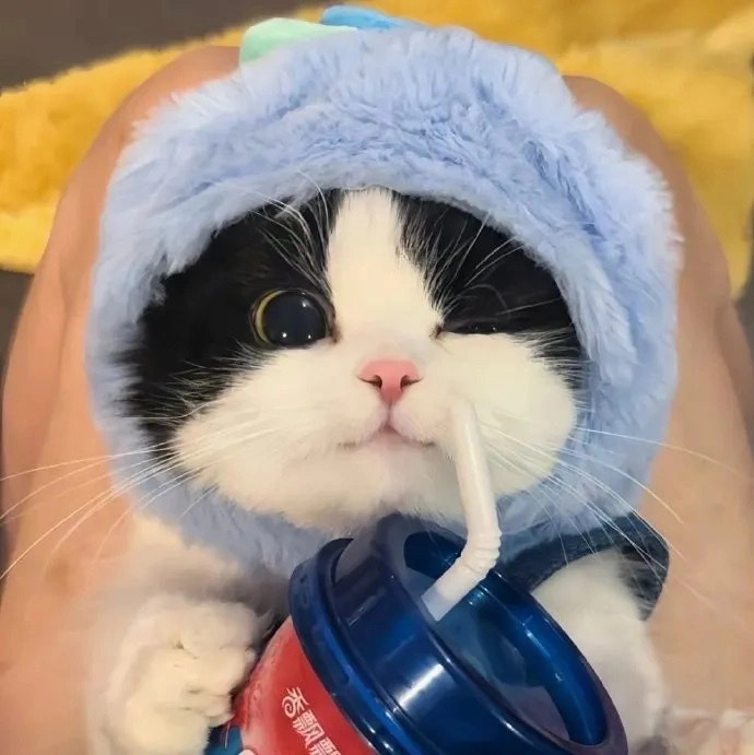 一起发的头像-一起发