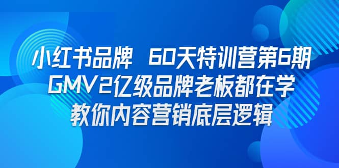 小红书品牌 60天特训营第6期 GMV2亿级品牌老板都在学 教你内容营销底层逻辑-一起发