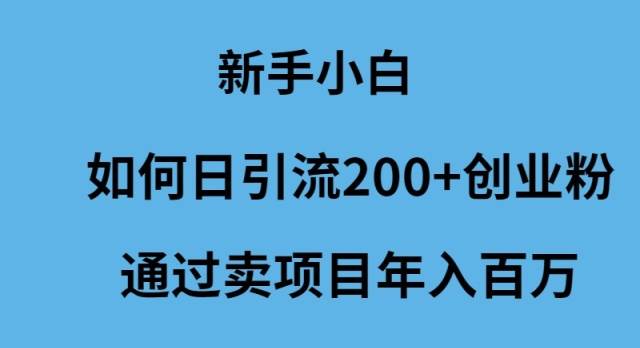 新手小白如何日引流200+创业粉通过卖项目年入百万-一起发