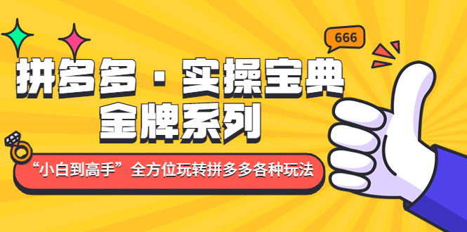 拼多多·实操宝典：金牌系列“小白到高手”带你全方位玩转拼多多各种玩法-一起发