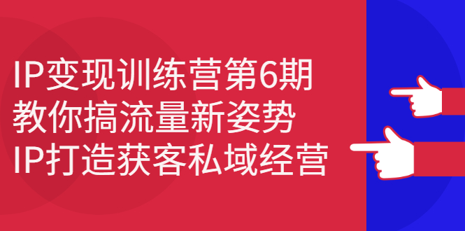 IP变现训练营第6期：教你搞流量新姿势，IP打造获客私域经营-一起发